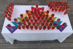 fin2-2000